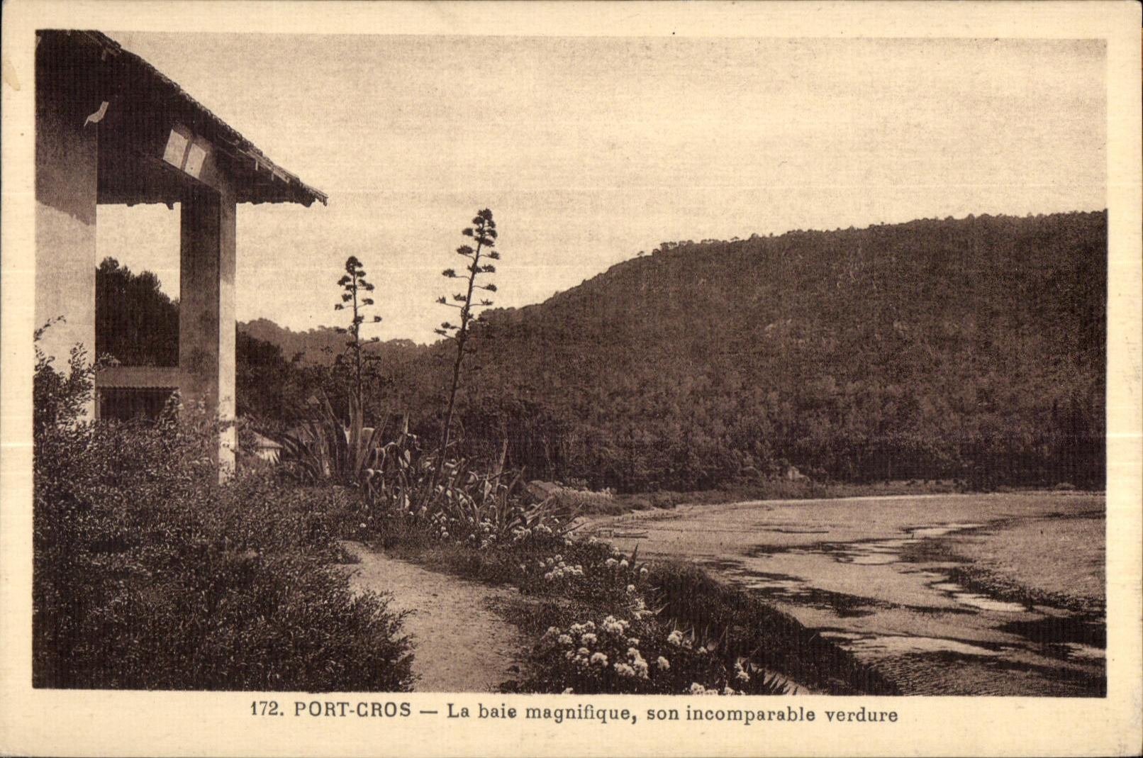 Port-Cros — La baie magnifique, son incomparable verdure — Éditeur Huet, Hyères, n° 172