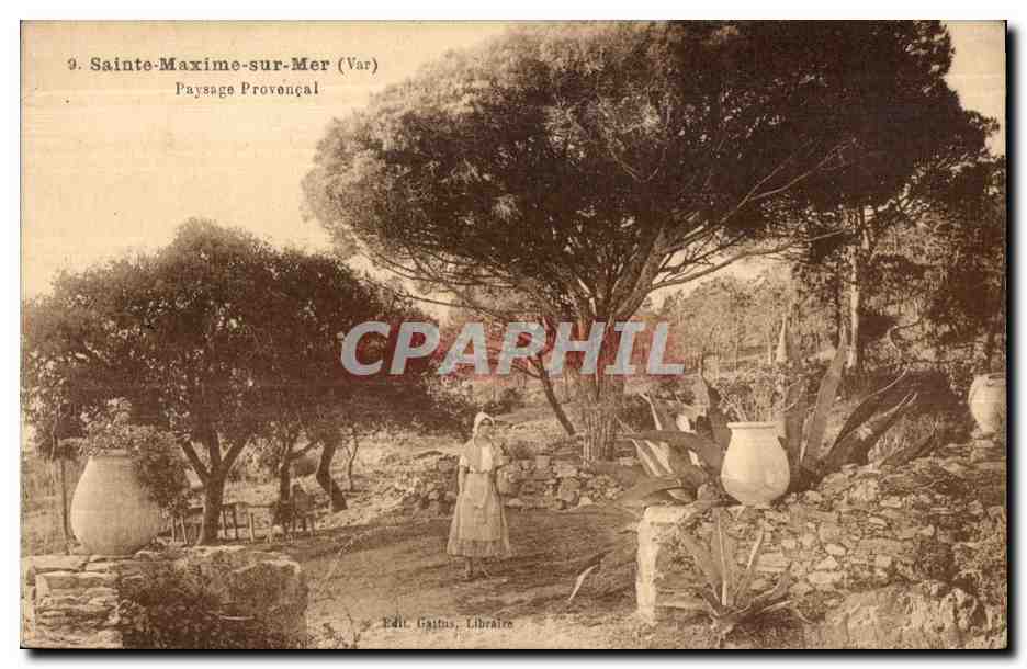 CPA Sainte Maxime sur Mer (Var) Payssage Provencal