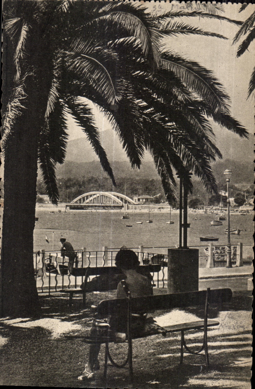 CPA Sainte Maxime sur mer (Var) La Place des Palmiers