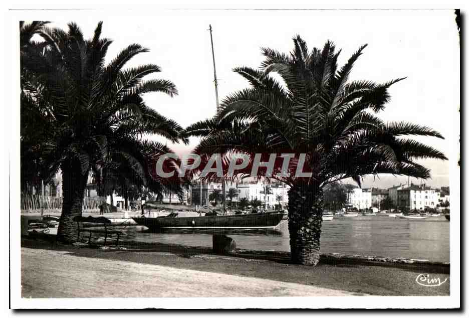 CPA Sanary sur Mer (Var) Un coin du Quai