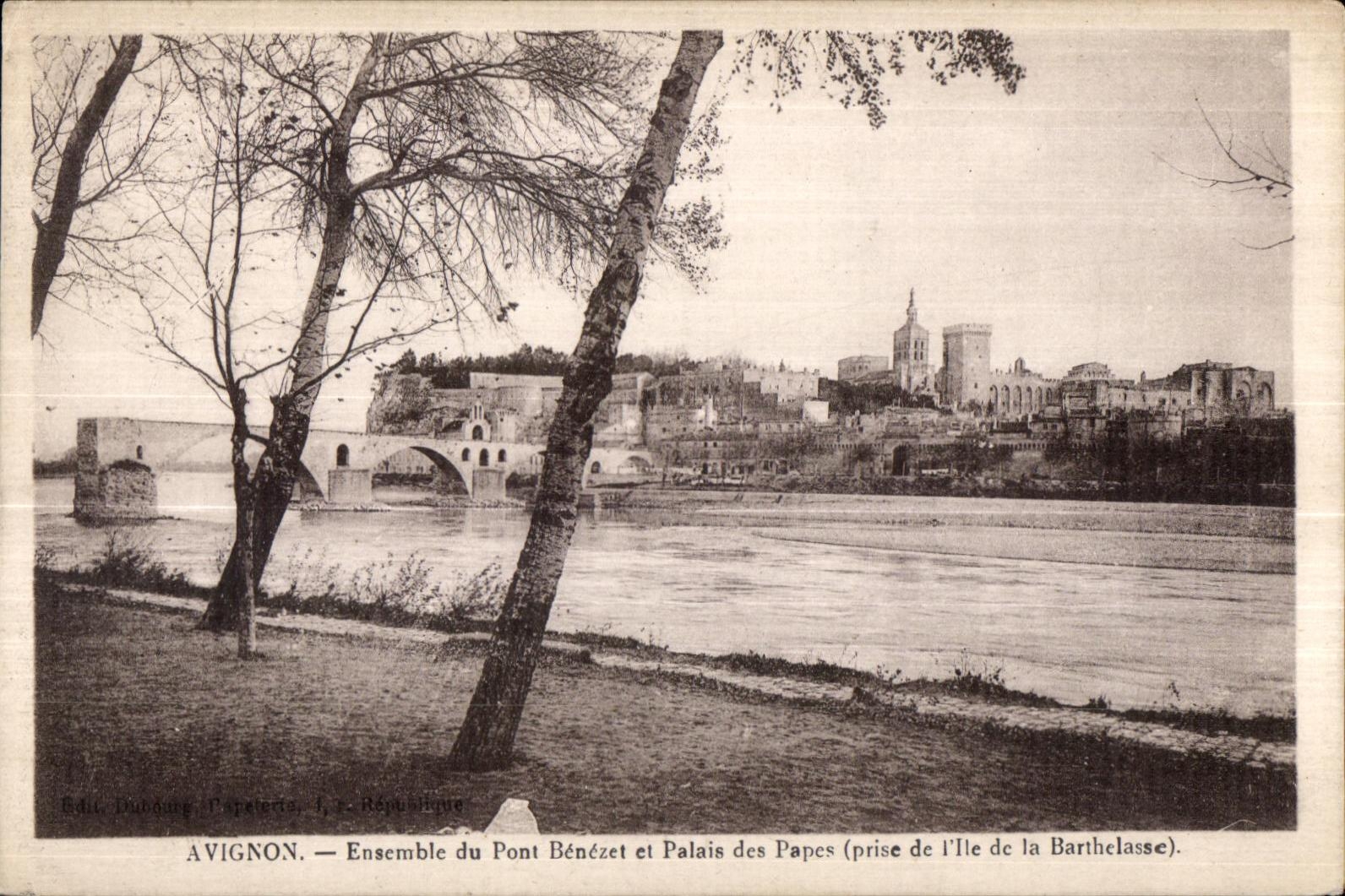 CPA Avignon Ensemble du Pont Benezet et Palais des 