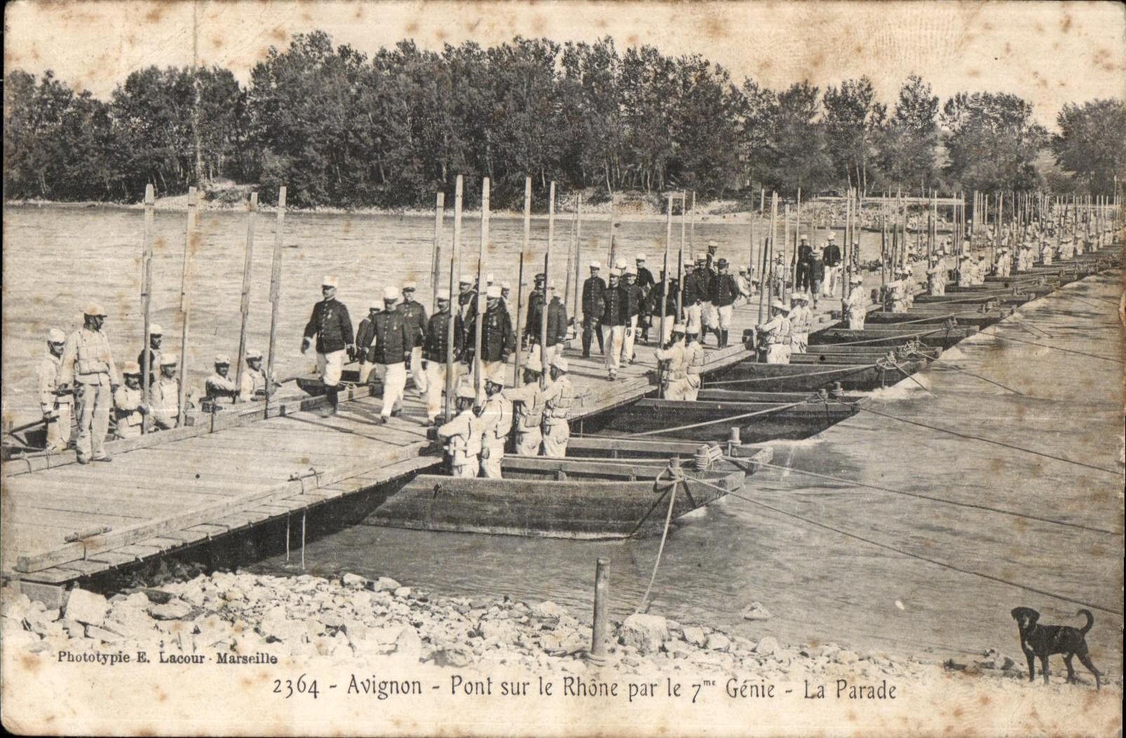 CPA Avignon Pont sur le Rhone par le 7 Genie la parade