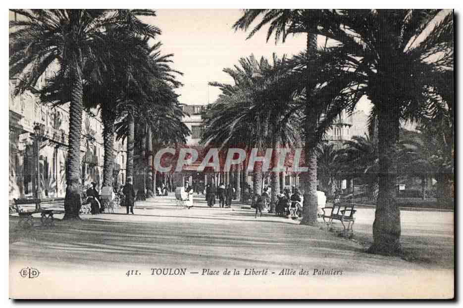 CPA Toulon Place de la Libere Allee des Palmiers