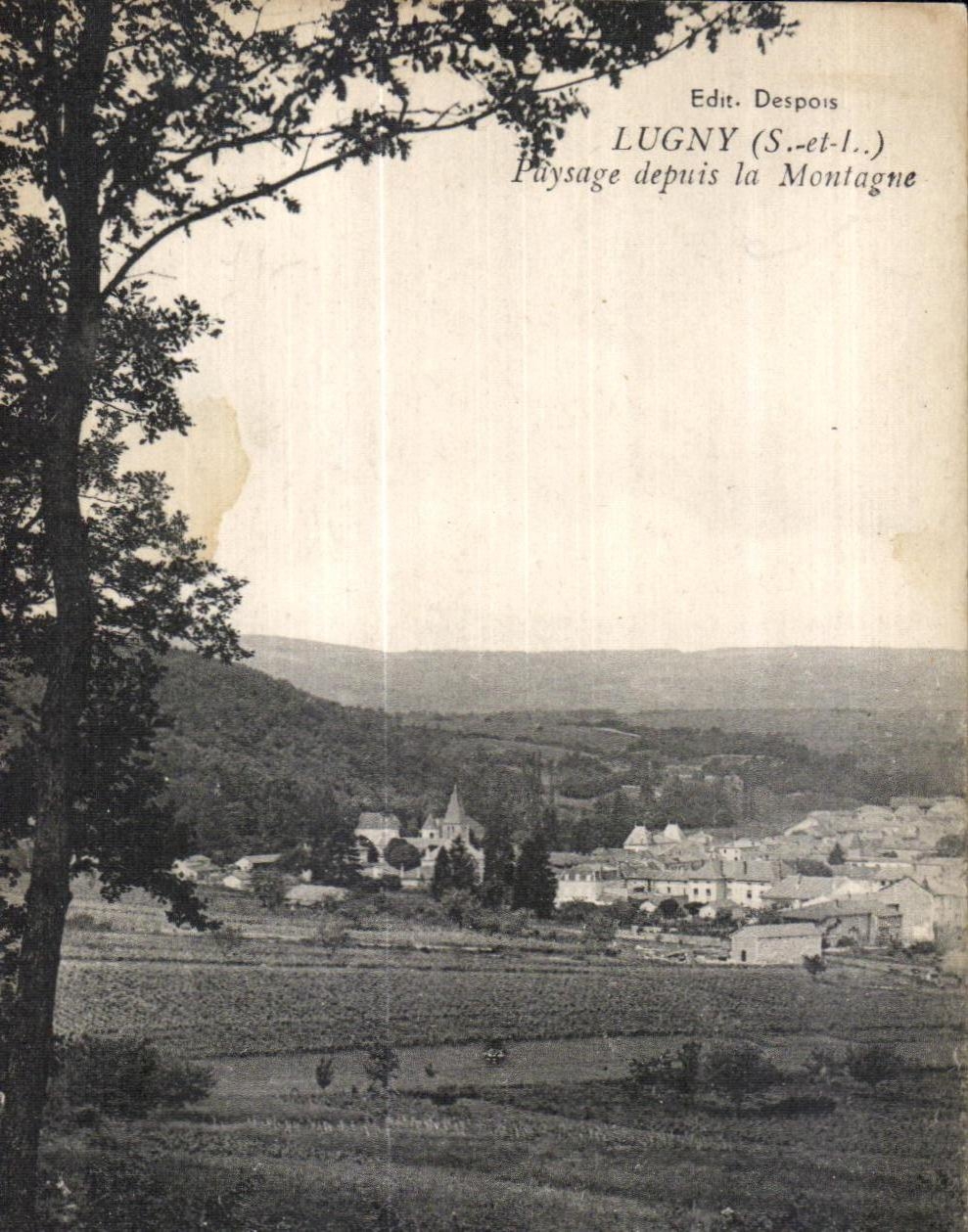 CPA Lugny S et l Paysage depuis la Montange