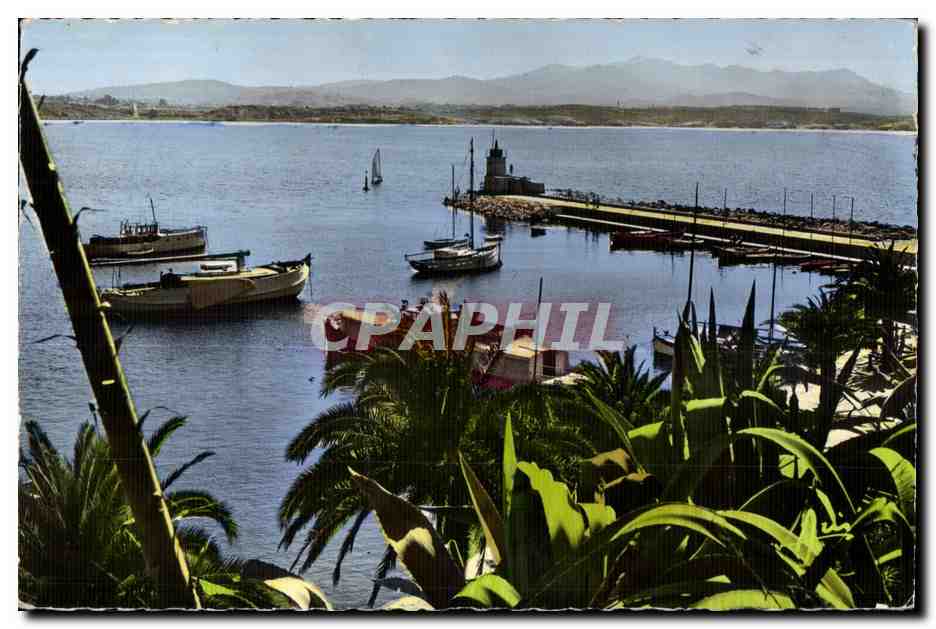 CPA Cote d Azur Sanary sur Mer