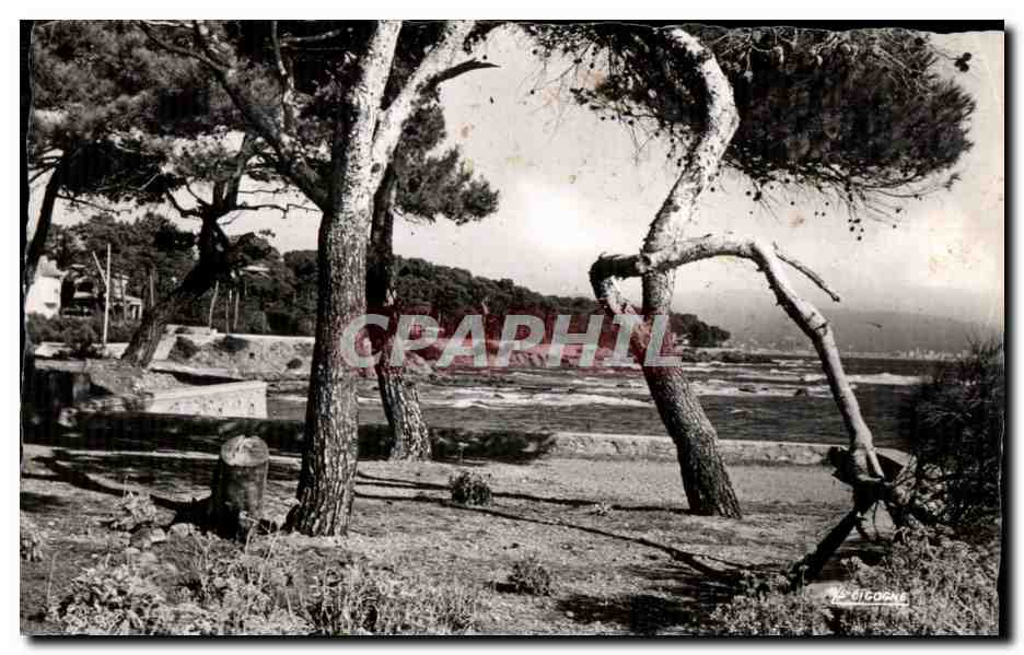 CPA Saint Aygule Les Pinedes du Bord de Mer
