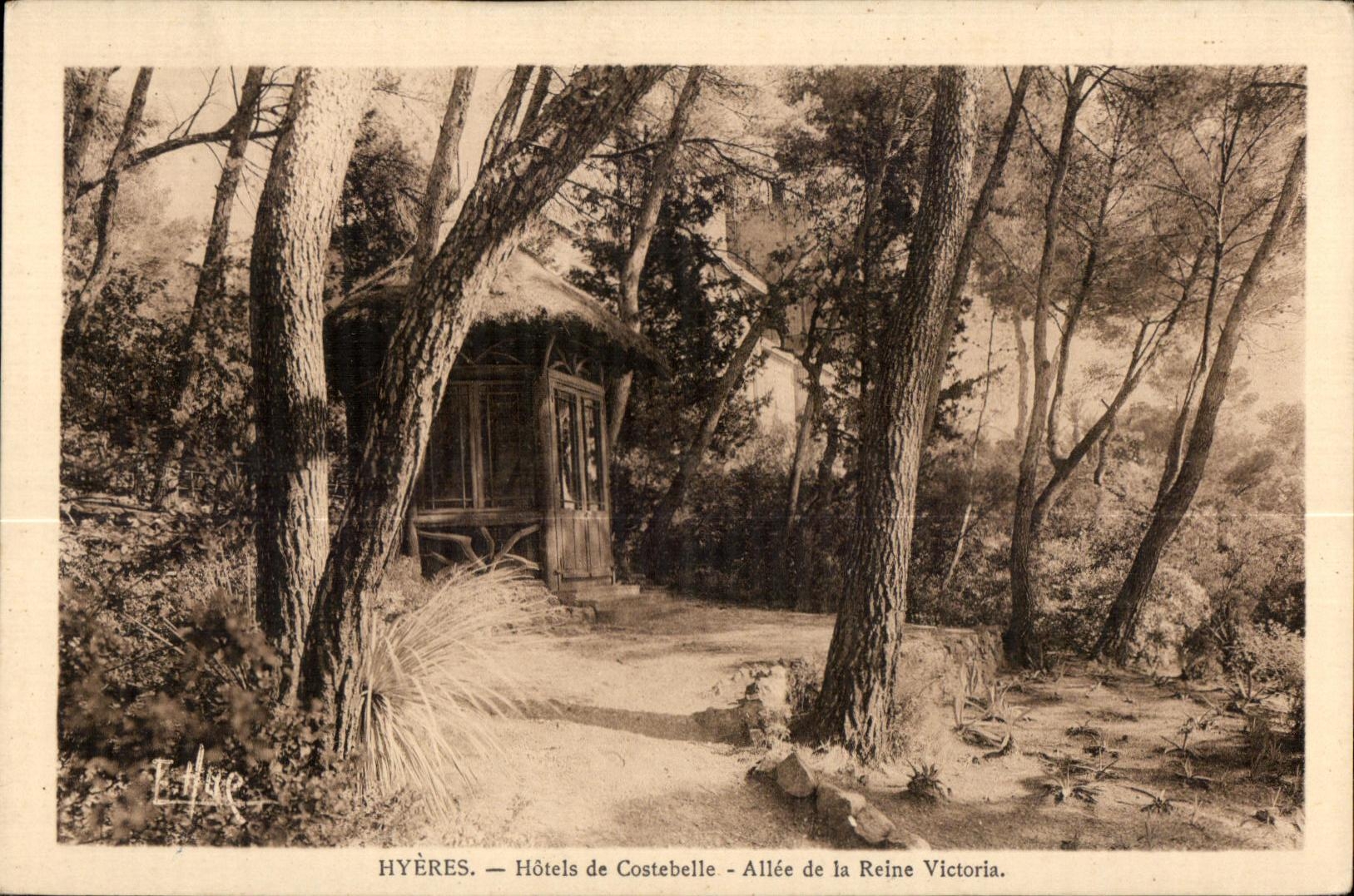 CPA Hyeres Hotels de Costebelle Allee de la Reine Victoria