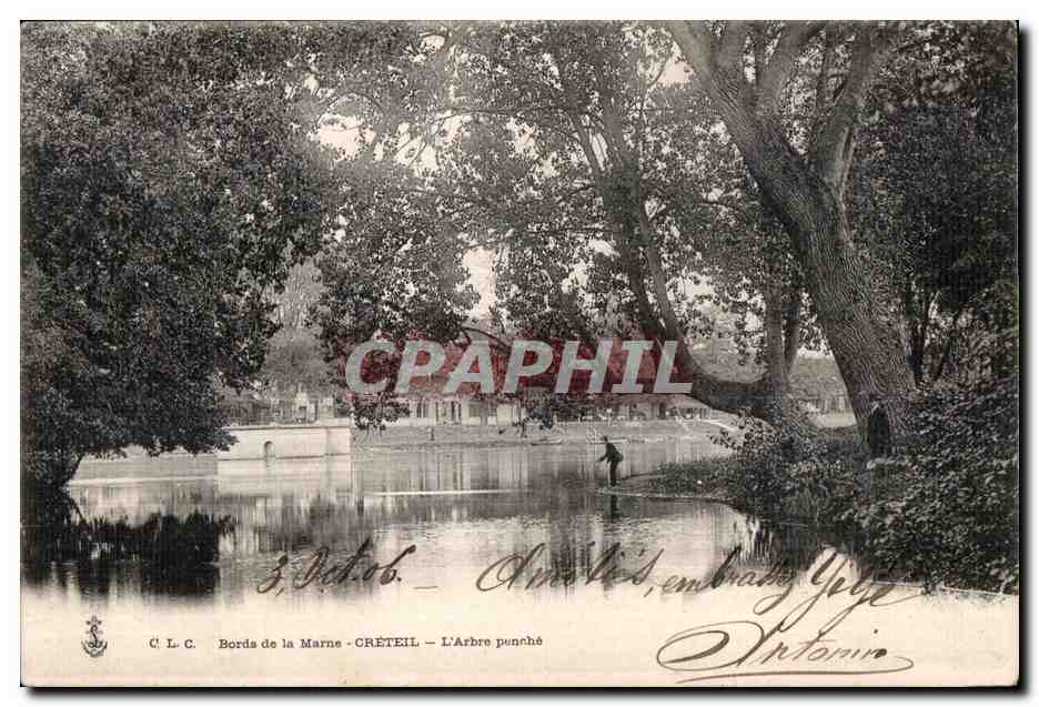 CPA Bords de la Marne Creteil L Arbre penche