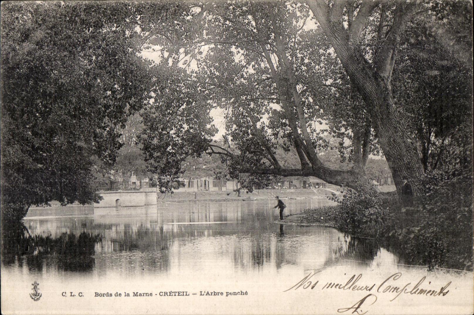 CPA Bords de la Marne Creteil L Arbre penche