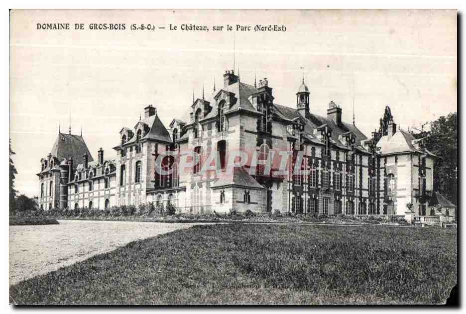 CPA Domine de Gros Bois (S   O) Le Chateau sur le Parc (Nord Est)