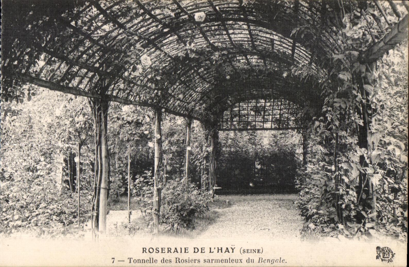 CPA Roseraie de l Hay (Seine) Tonnelle de Rosiers sarmenteux du Bengale