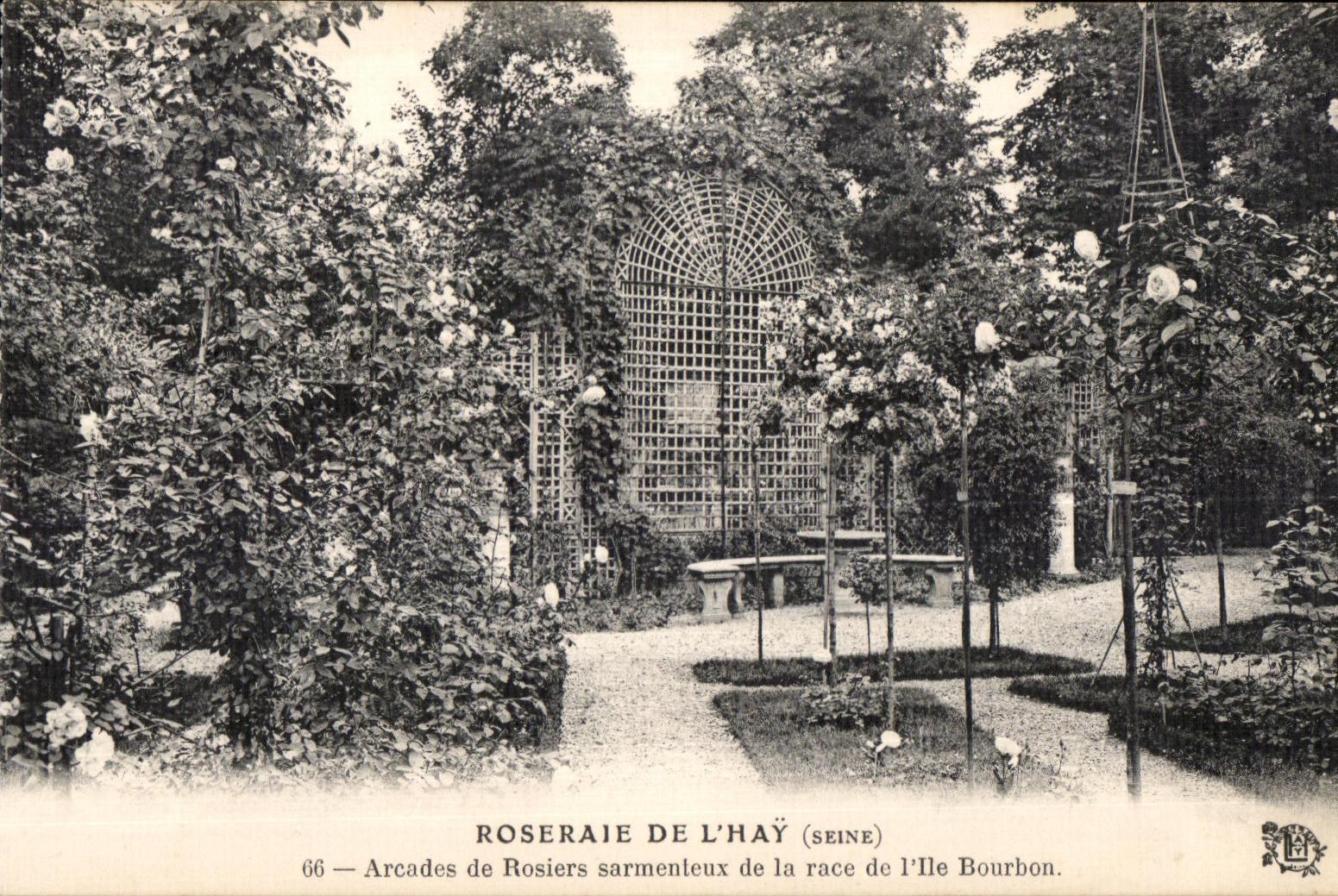 CPA Roseraie de l Hay (Seine) Arcades de Rosiers sarmenteux de la race l lle Bourbon