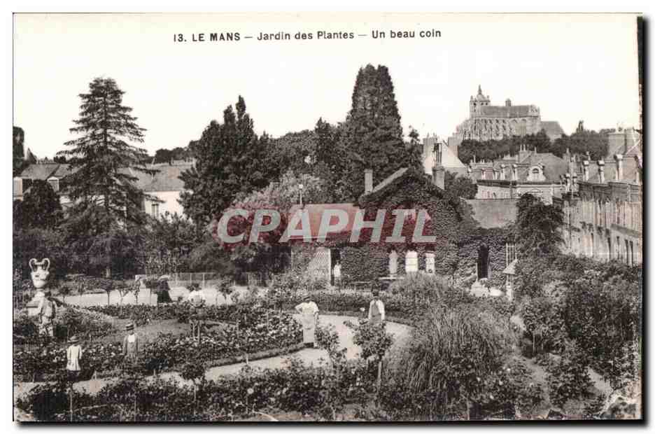 CPA Le Mans Jardin des Plantes Un beau coin