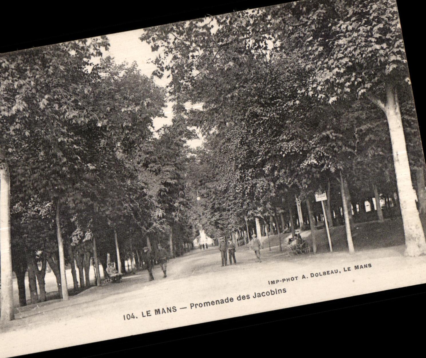 CPA Le Mans Promenade des Jacobins