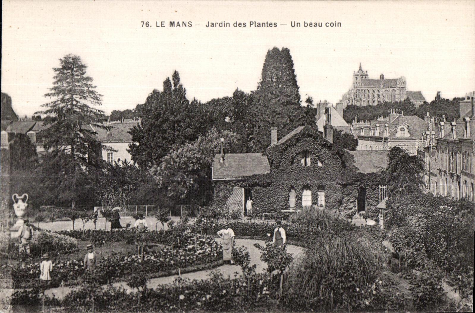 CPA Le Mans Jardin des Plantes Un beau coin 