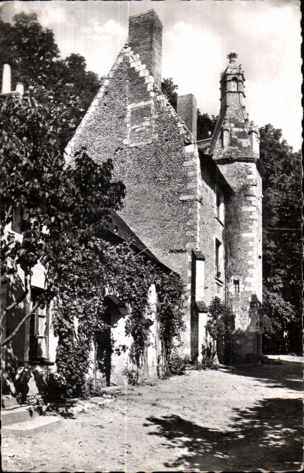 CPA Chateau du Loir (Sarthe) Chateau de Riablay