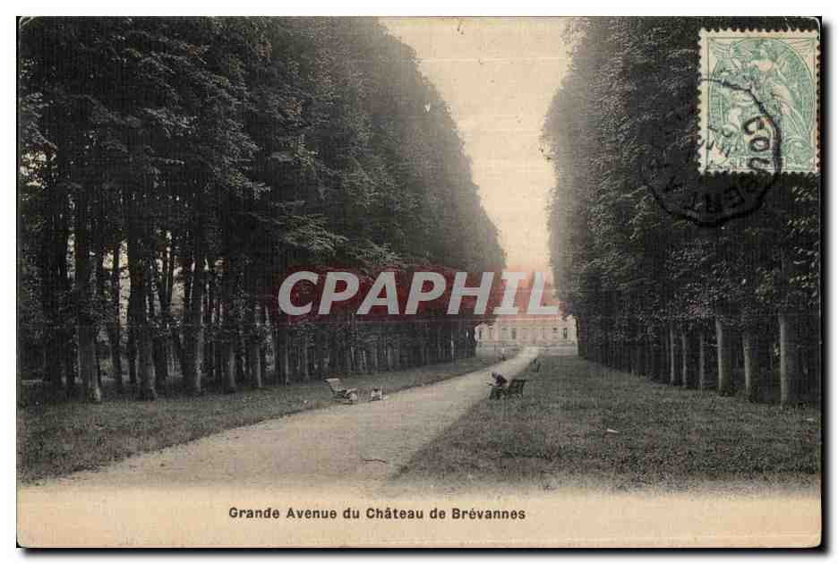 CPA Brevannes Avuenue du Chateau de Brevannes