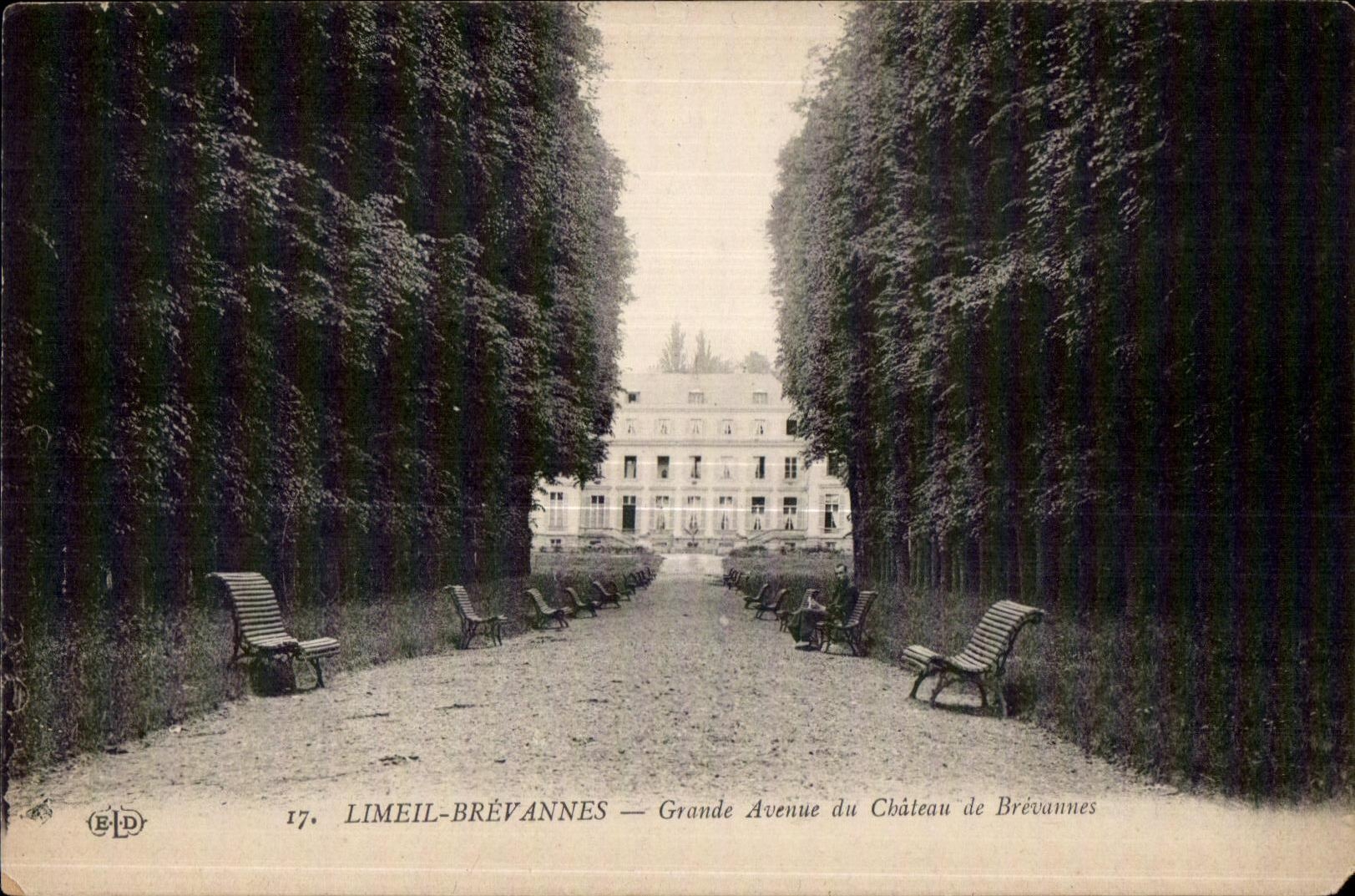 CPA Limeil Brevannes Grande Avenue du Chateau de Brevannes