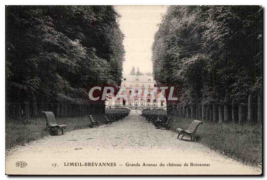 CPA Limeil Brevannes Grande Avenue du chateau de Brevannes