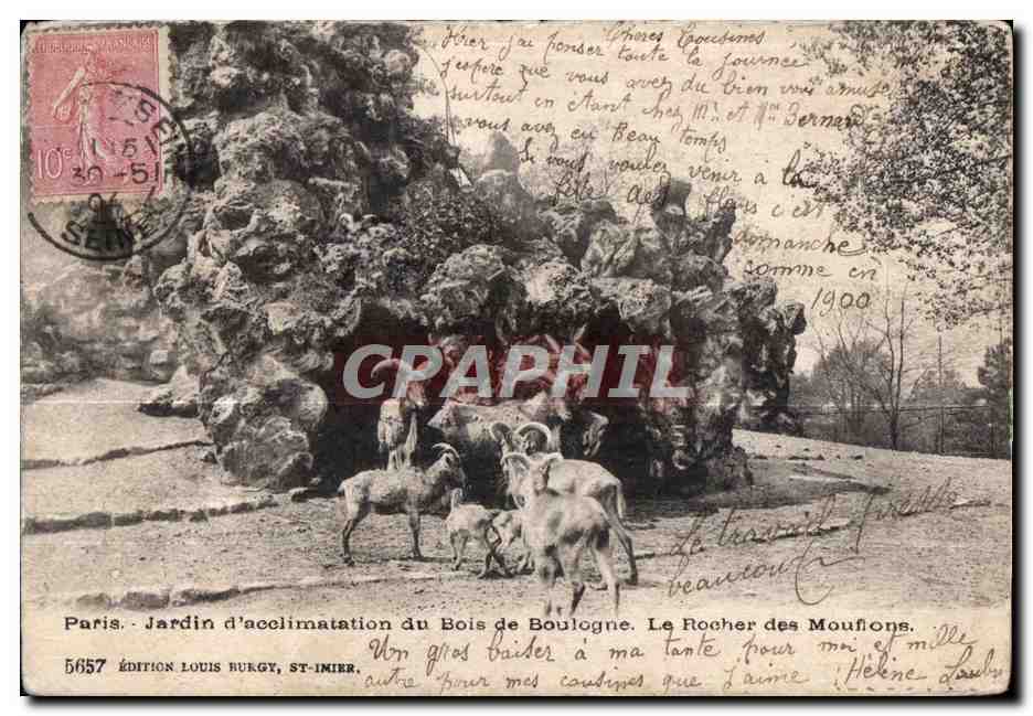 CPA Paris Jardin d acclimatation du Bois de Boulogne Le Rocher des Mouflons