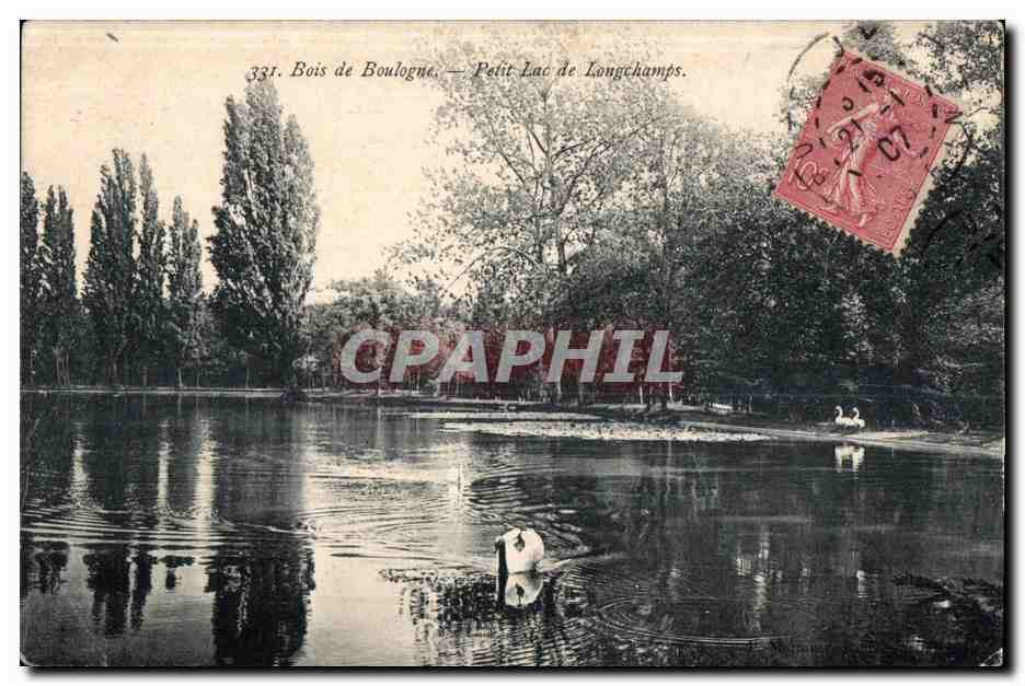 CPA Bois de Boulogne Petit Lac de Longchamps Cygne Swan