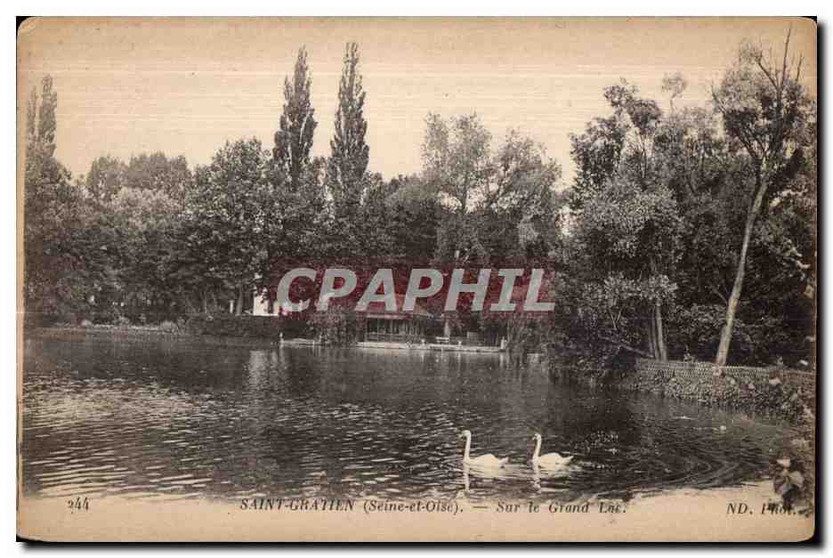 CPA Saint gratien (seine et Oise) sur le grand lac Cygne Swan