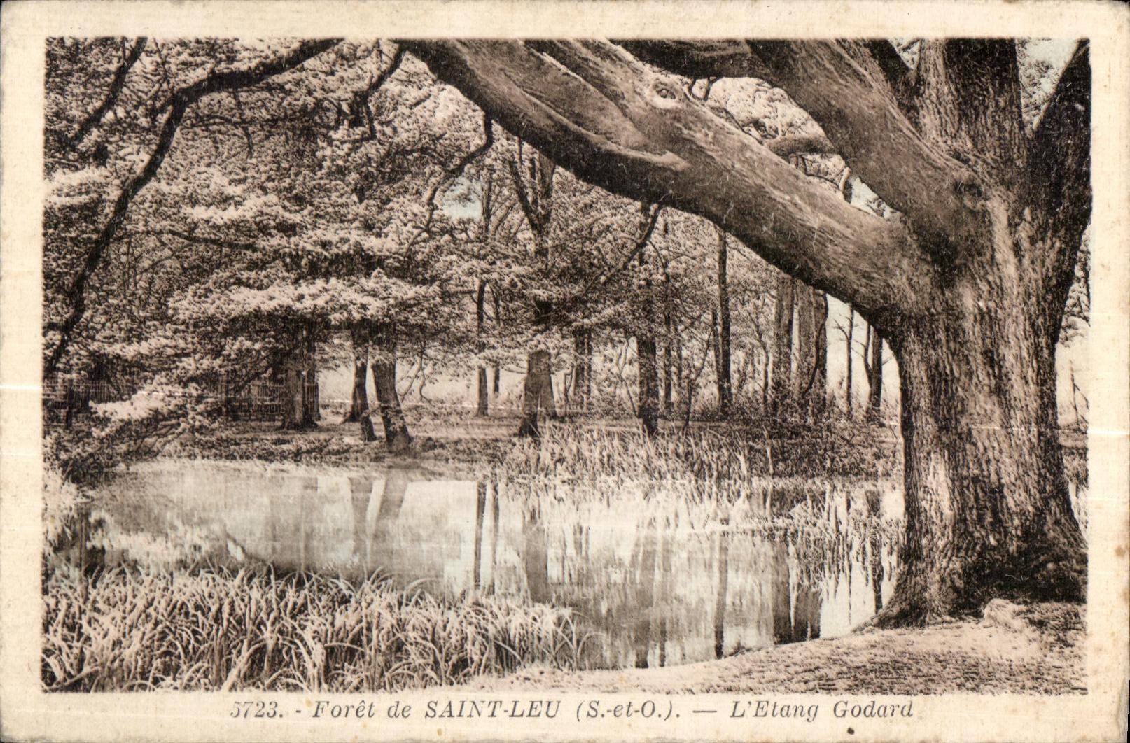 CPA Foret de saint leu (S et-O) L etang godard