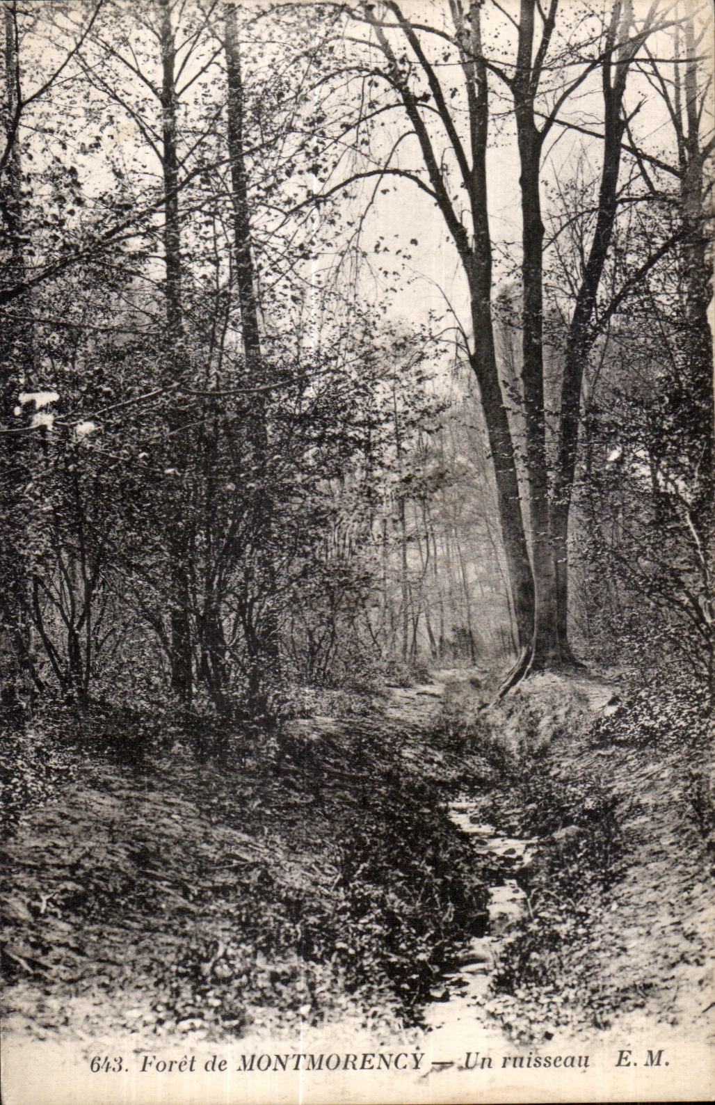 Forêt de Montmorency — Un ruisseau — E.M. n°643