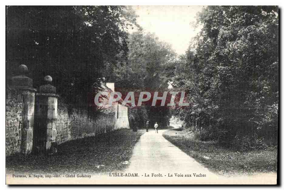 L'Isle-Adam - La Forêt - La Voie aux Vaches — Pontoise, A. Seyes, imp.-édit. - Cliché Godelroy