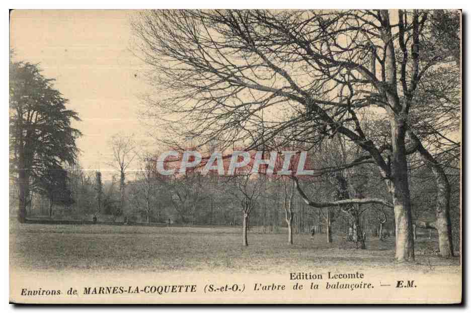 Environs de MARNES-LA-COQUETTE (S.-et-O.) — L'arbre de la balançoire — Édition Lecomte — E.M.