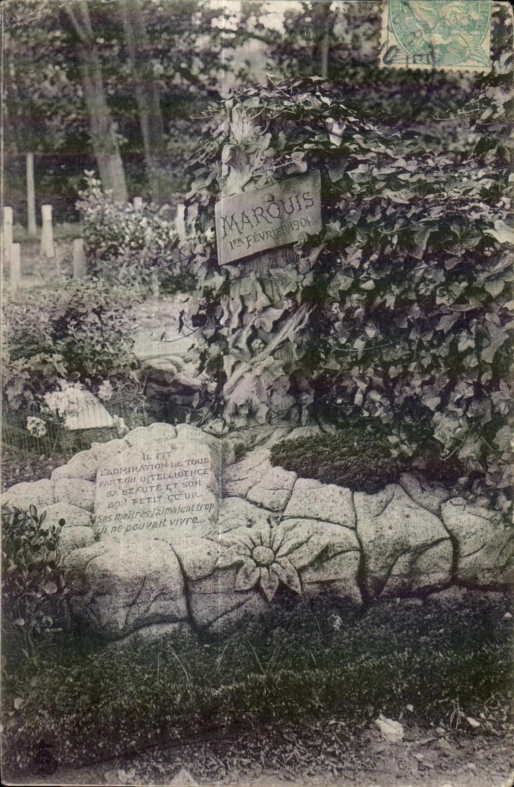 CPA Asnieres Cimetiere de Chiens le Marquis