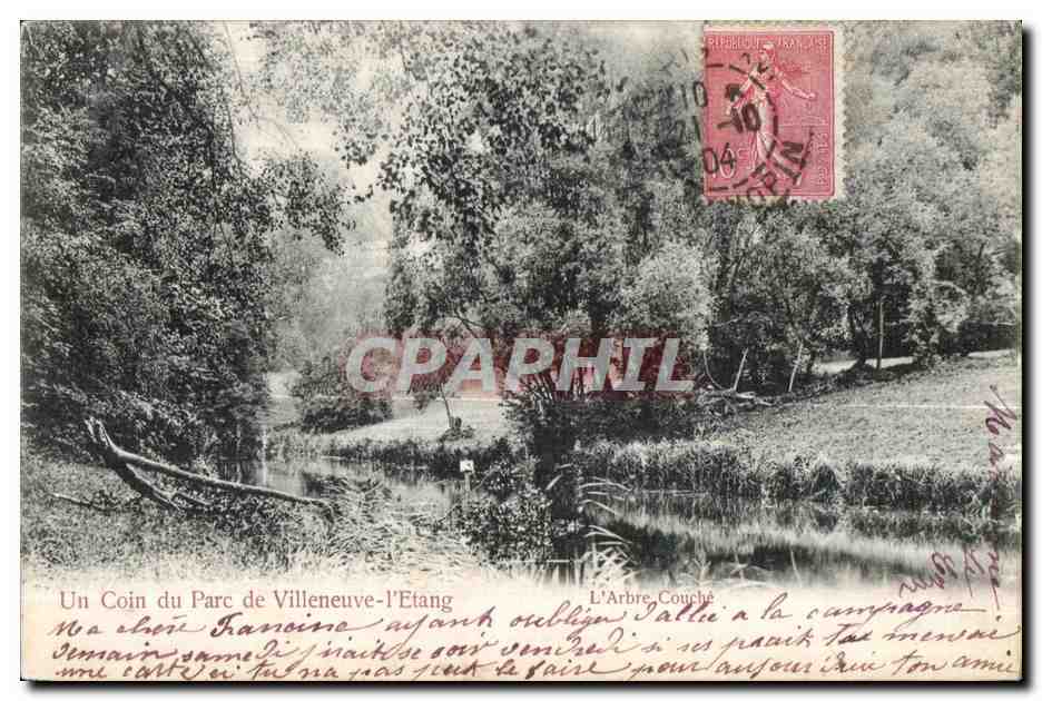 CPA Un Coin du Parc de Villeneuve l Etang L Arbre Couche