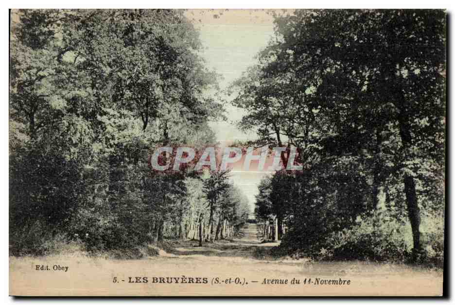CPA Les Bruyeres Avenue du 11 Novembre 