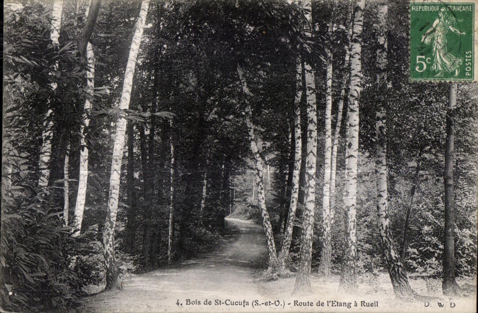 CPA Bois De St Cucufa Route De I Etang A Rueil