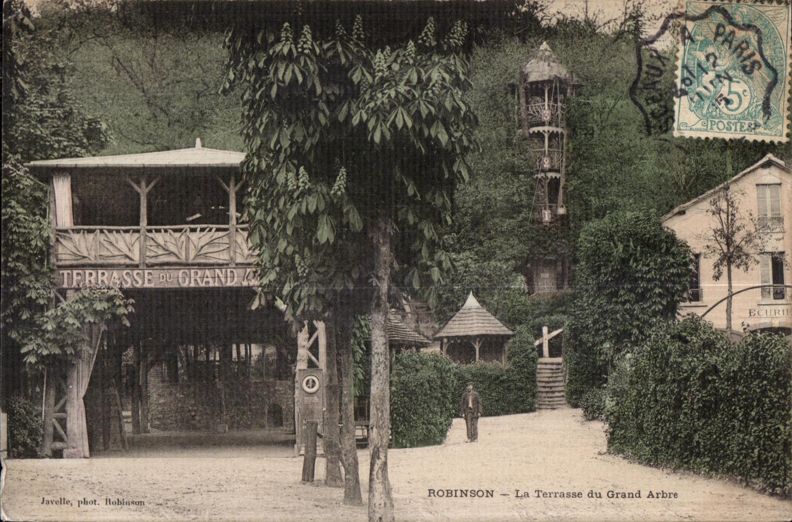 CPA Robinson La Terrasse du Grand Arbre