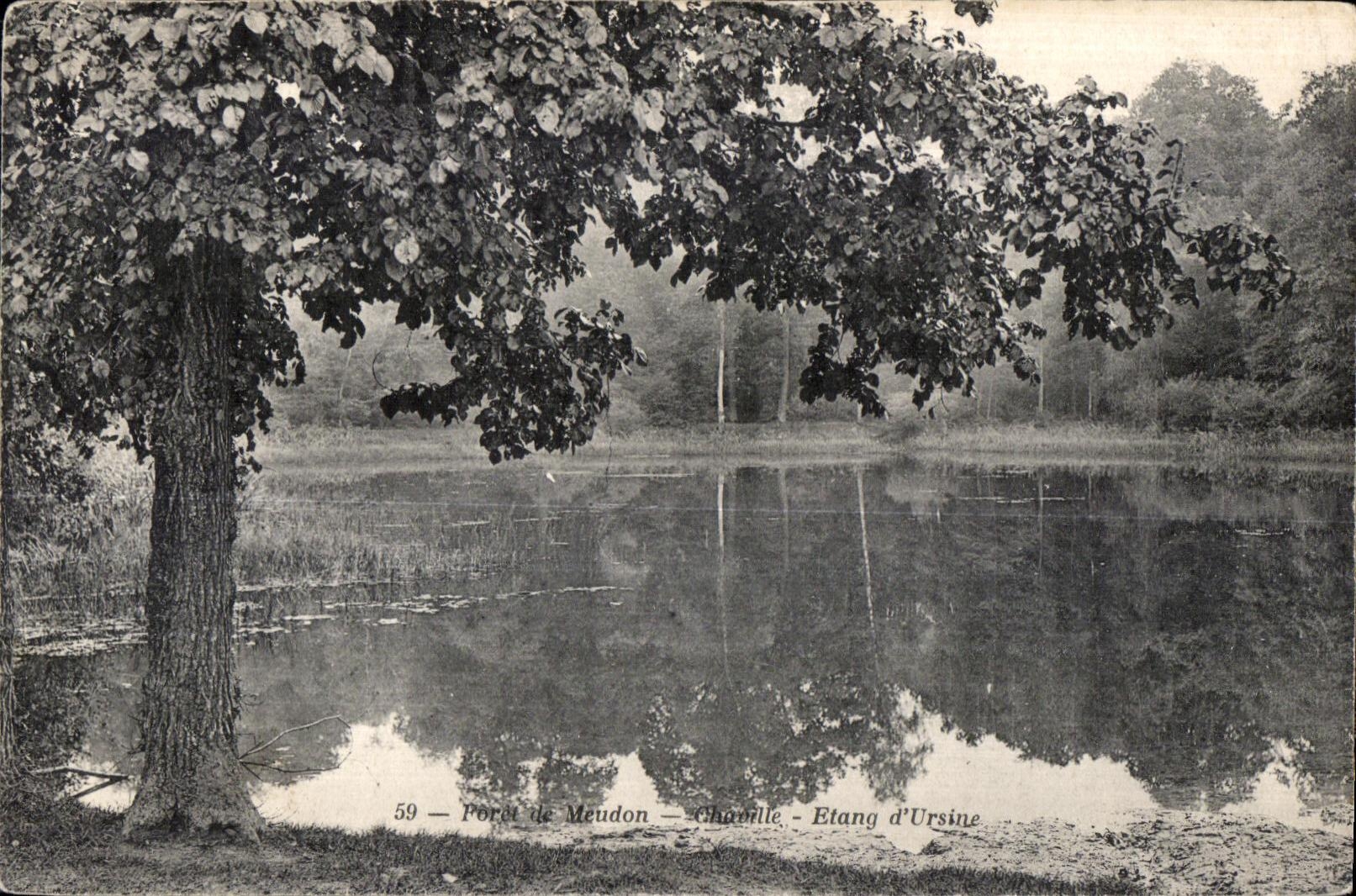 CPA Foret de Meudon Chaville etang d Ursine