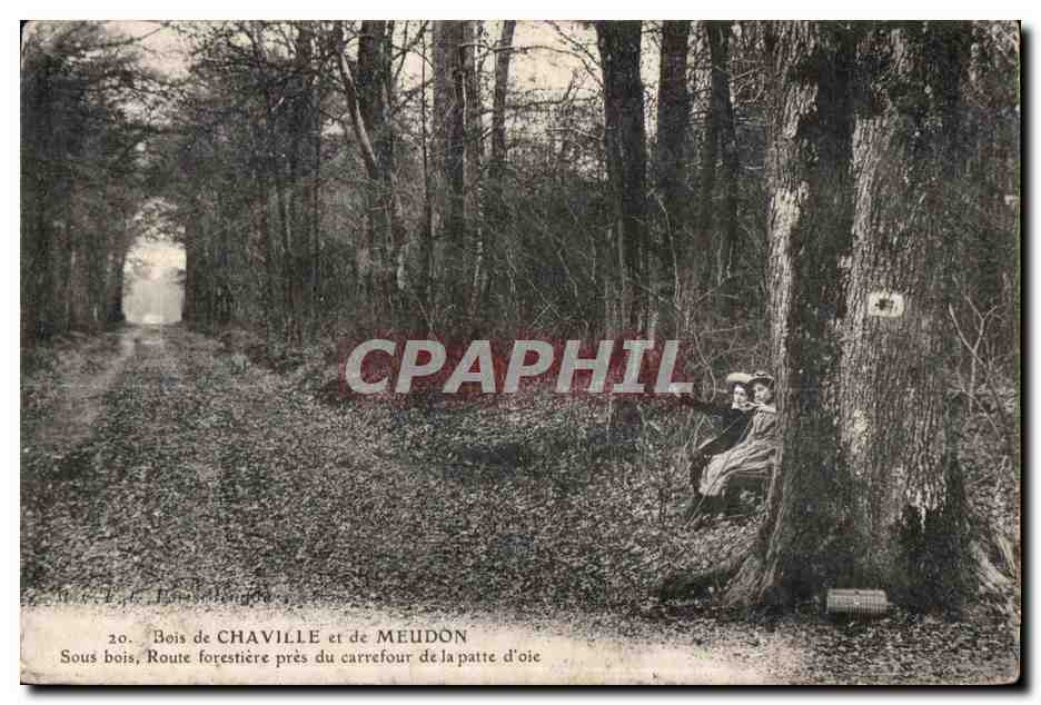 CPA Meudon Bois de Chaville Sous bois Route forestiere pres du carrefour de la patte d oie Enfants