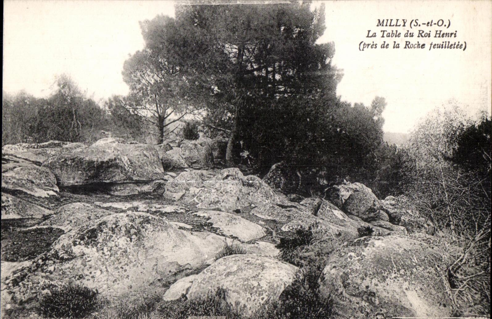 CPA Milly (S -et-O ) La table du roi Henri pres la Roche feuillee