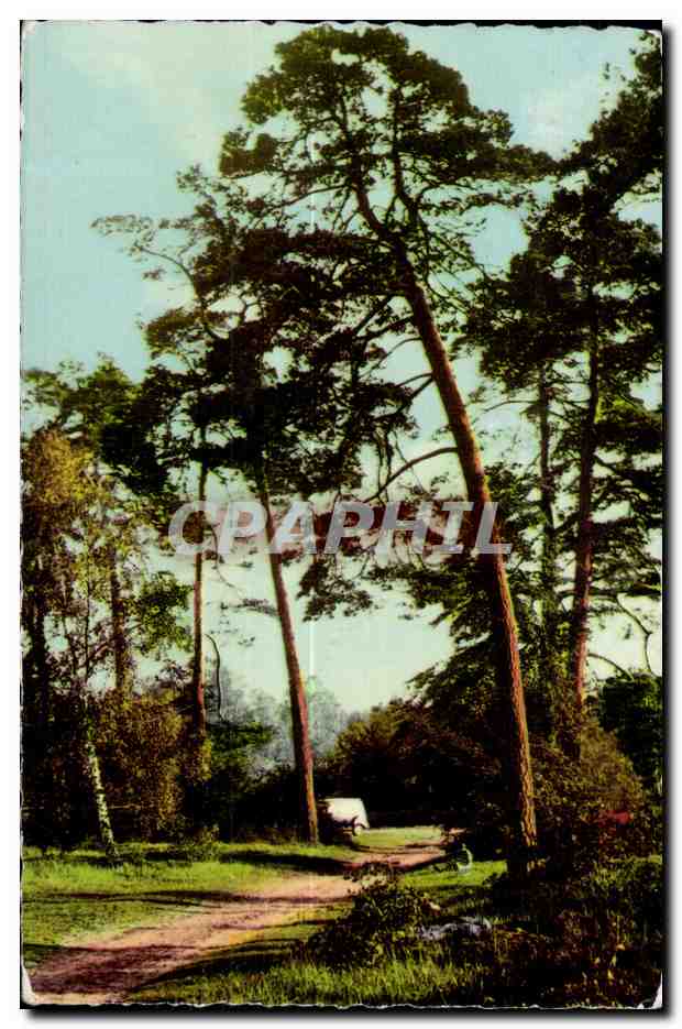CPSM Milly Sur la route de Fontainebleau