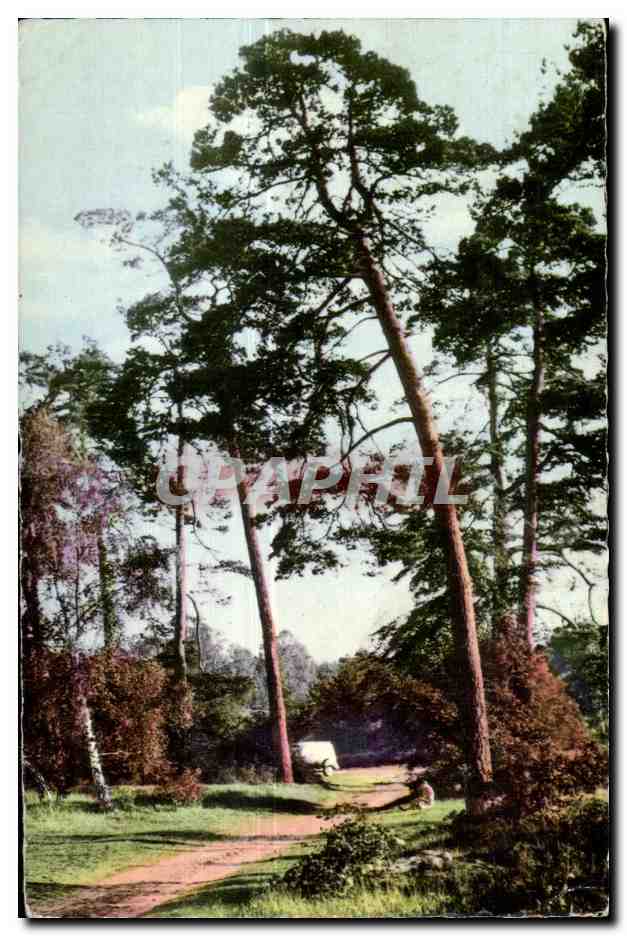 CPSM Milly la Foret Sur la route de Fontainebleau