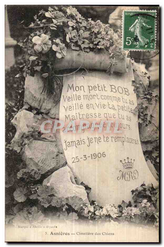 CPA Asnieres Cimetiere des Chiens Mon petit Bob