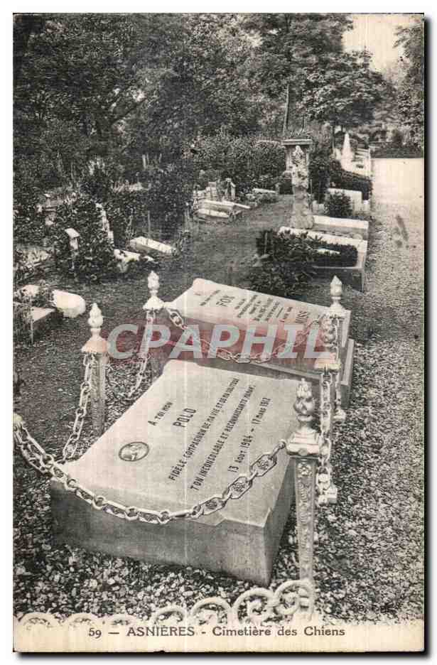 CPA Asnieres Cimetiere des Chiens Polo Fox 
