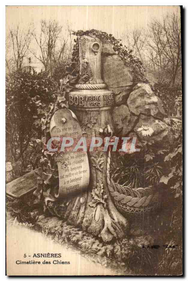CPA Asnieres cimetiere des Chiens Bob