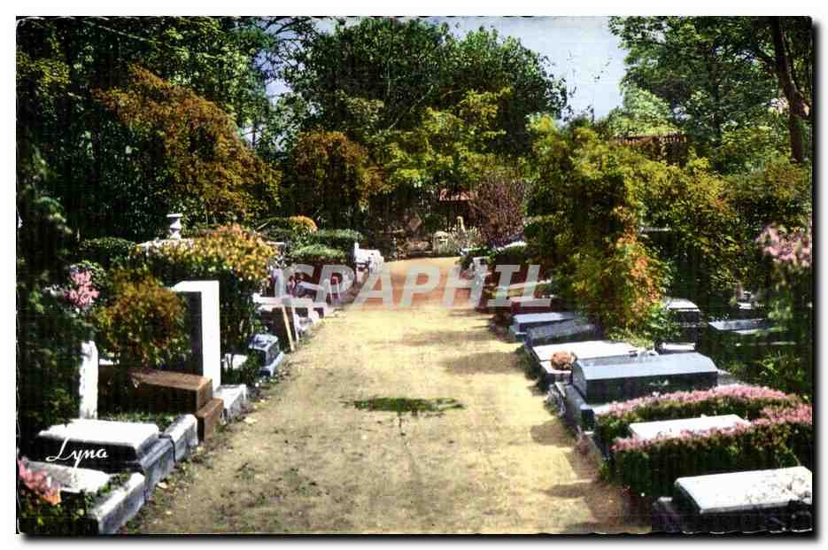 Cimetière — allée bordée de tombes — éditeur Lyna