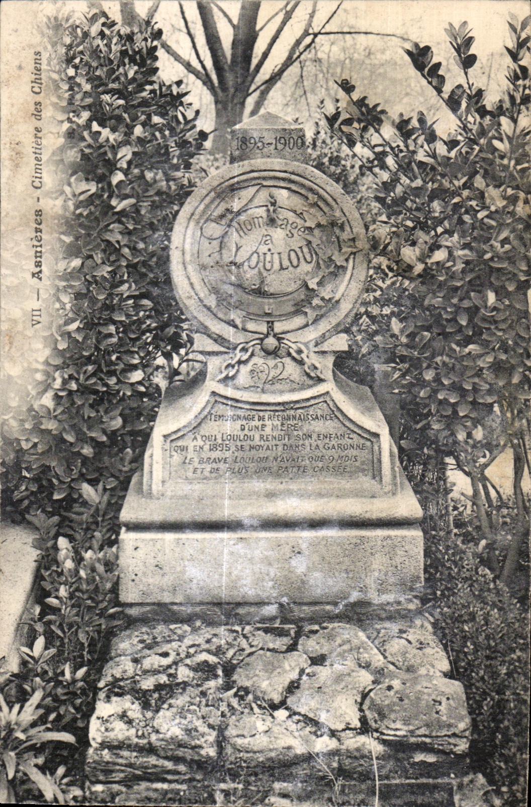 CPA Asnieres Cimetiere des Chiens Loulou 