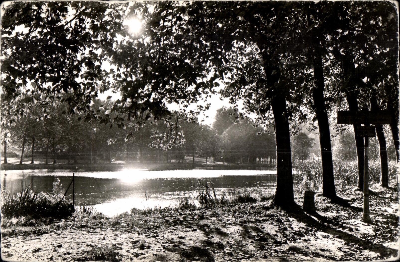 CPA Vallee de Chevreuse Orsay pittoresque Coucher de saleil sur le Lac