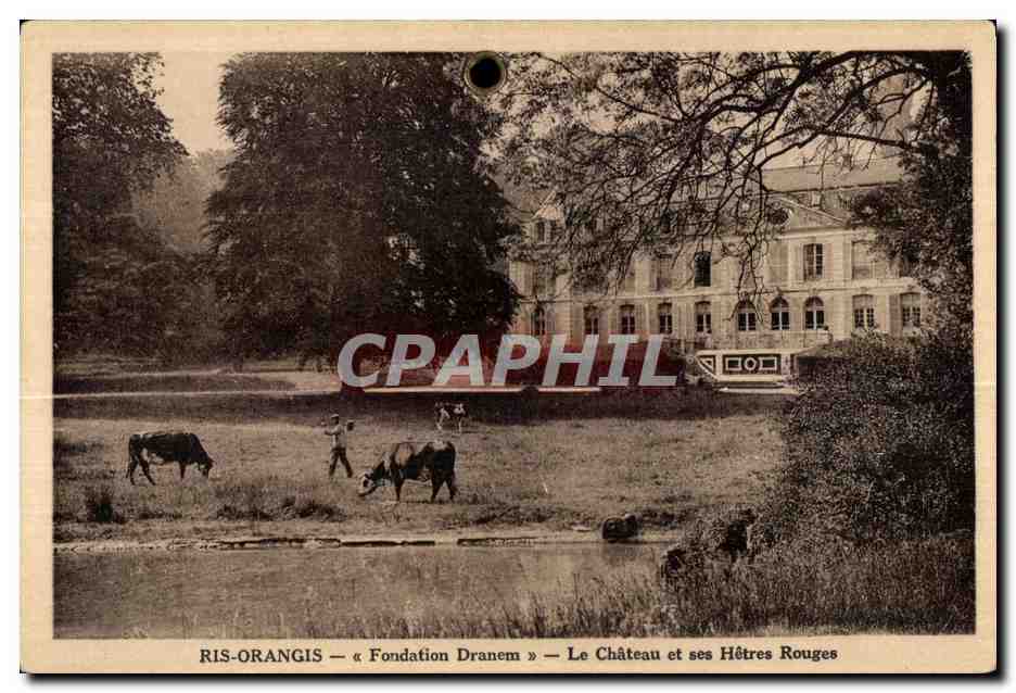 Ris Orangis - Fondation Dranem - Le Chateau et ses Hetres Rouges - CPA 
