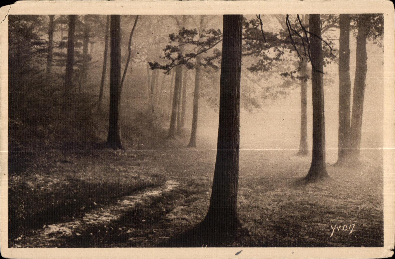 Massy - La Foret autour de l Etang de Villebon - CPA 