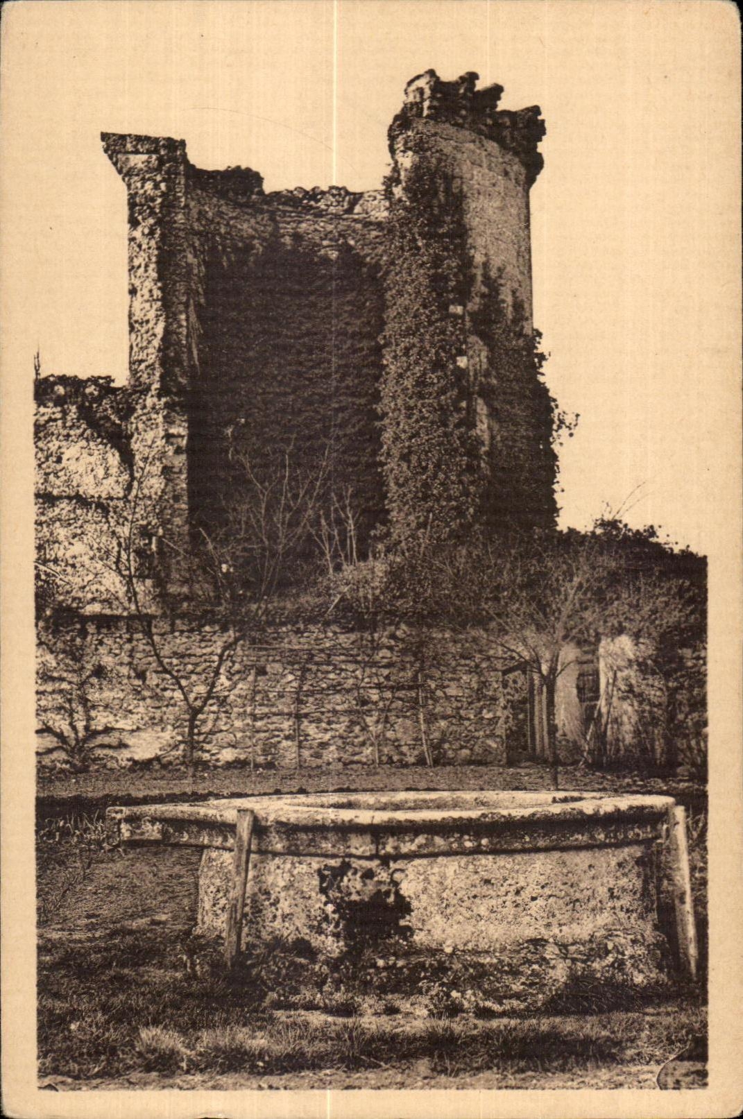 Vallee de Chevreuse - Chateau de la Madeleine - CPA 