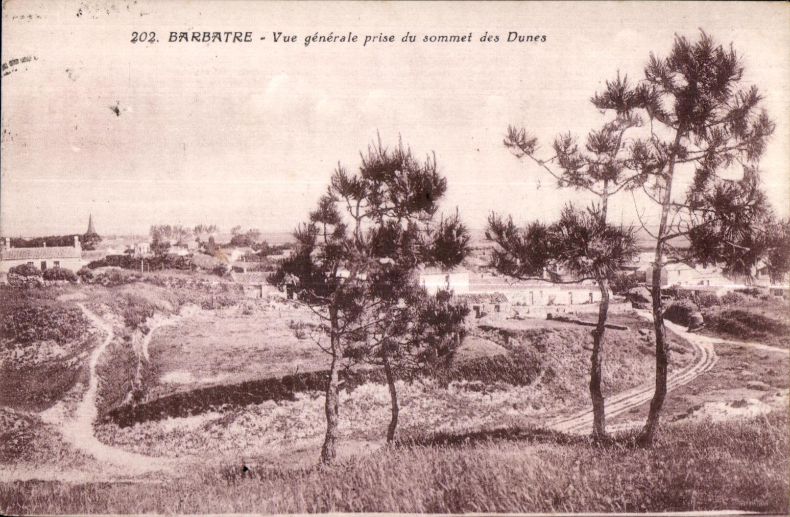 CPA Barbatre Vue generale prise du sommet des Dunes